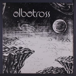 albatross1