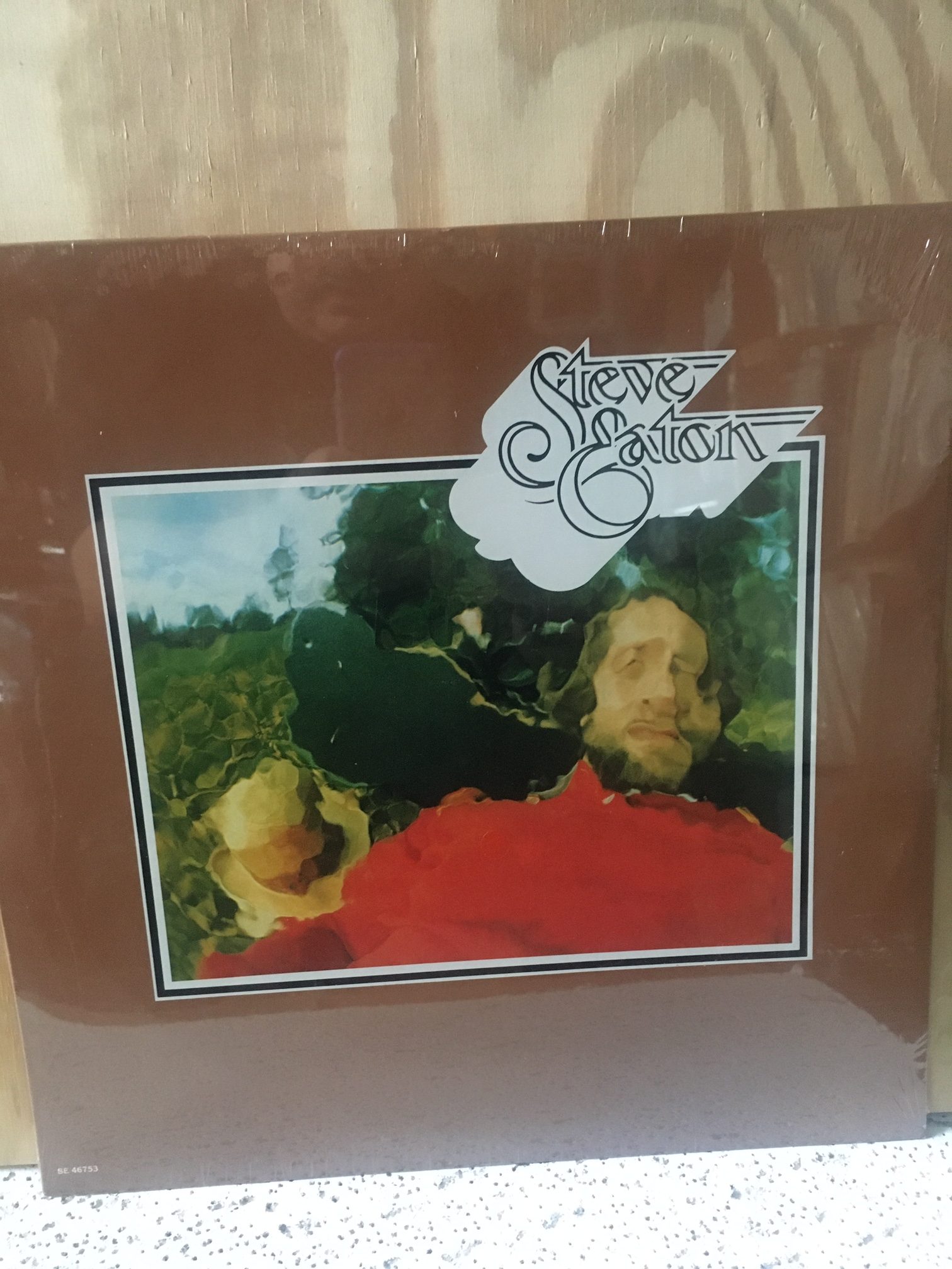 BLUEBIRD　EATON　MOUNTAIN　“SAME”　Vinyl　SEALED　STEVE　Void　ON　Records